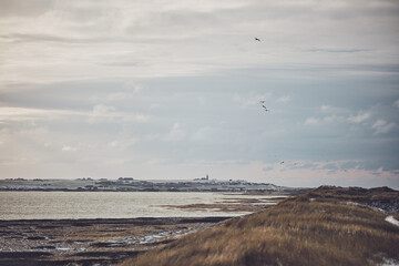 Wall Mural - Coast at Vejlby klit in denmark in winter with snow. High quality photo