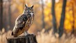 Eurasian Eagle Owl sitting on the stump