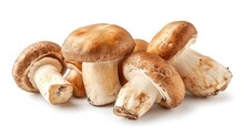 Porcini Mushrooms On White Background