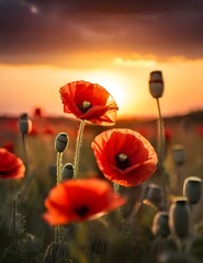 Beautiful nature background with red poppy flower poppy in the sunset in the field. Remembrance day, Veterans day, lest we forget concept. Generative AI
