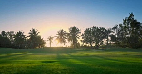 Sticker - Golf course landscape on a sunny morning, caribbean nature at sunrise, golf outdoors video. Punta Cana, Dominican Republic