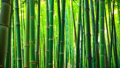  Bamboo Forest. Nature. Greenery. Zen. Tranquil. Asian. Scenic. Flora. Tropical. Wilderness. Bamboo Grove. Lush. Natural. Serene. Botanical. AI Generated.