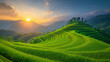 rice field curve terraces at sunrise time, natural background of nature, curved rive paddy fields