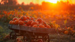 A wagon filled with freshly picked pumpkins backlit by the fiery colors of the sunset.