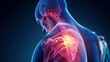 © Jennifer - Painful shoulder joints. Frozen shoulder, impingement. 3d illustration