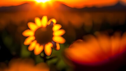 yellow flower on black background