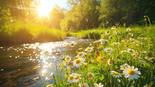 A Serene Stream Meanders Through A Vibrant Meadow Of Wild Yellow Flowers, Dappled With Sunlight Filtering Through Trees.
