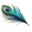 Photo of Peacock feather isolated on white background