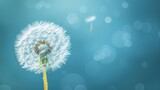Fototapeta Dmuchawce -  a dandelion is blowing in the wind on a blue and green background with a blurry image of a dandelion in the middle of the dandelion.