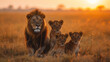 African Sunrise, Male Lion and Three Lion Cubs in Savanna