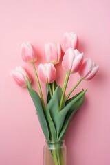 Wall Mural - Pink tulips on a pink background