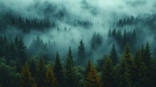 A Glimpse Into The Enchanted Redwood Forest Shrouded In Morning Fog. Made With Generative AI Technology