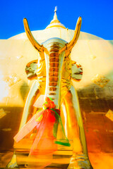 Canvas Print - Antique golden elephant statue on the old pagoda of Wat Phra Singh in Chiang Mai Province