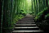 Fototapeta Dziecięca - Exploring an exquisite trail in the serene bamboo forest. Journey into tranquility.