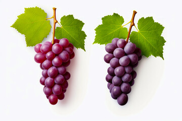 Wall Mural - Two bunches of grapes with green leaves on them, one is red.