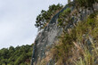 © Mdv Edwards - Rockfall barrier netting securing a steep mountain slope with overgrown vegetation to prevent erosion and landslide on the highway.