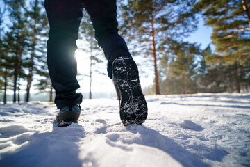 Canvas Print - person walking in winter park