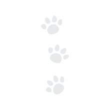 Cute Cat Paw Print. Black, White Cutie Cat Paw Black And White Colors. Sticker, Wall Art, Background, Kids Room Decoration. Cat Cute Face, Portrait, Kitten, Pretty, Cat, Paw ,trail,pet, Step