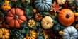 pumpkins and gourds of different colors and leaves