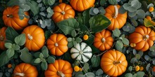 Pumpkins And Gourds Of Different Colors And Leaves