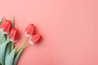 Red tulip flowers on side of pink background with copy space