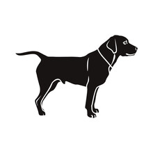 Labrador Dog Vector Silhouette