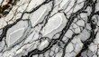 Oryginalna tekstura z kamienia naturalnego howlit, biało czarna, dekoracja płytka generative ai