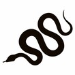 © Kuldi - silhouette of a black snake, Chinese New Year of the Chinese zodiac snake