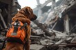 Rescue Dog In Safety Gear Searches For Survivors In Destroyed Structure
