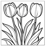 Fototapeta Tulipany - Tulip flower outline digital coloring page for kids and adults