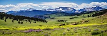 Scenic Vista Of Evergreen Meadow In The Foothills Of Colorado Rockies With Rocky Mountain