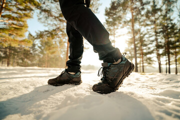 Canvas Print - person walking in the snow