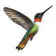 3D Rendering of a Hummingbird on Transparent Background - Ai Generated