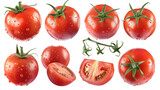 Fototapeta Kuchnia - set of isolated tomatoes