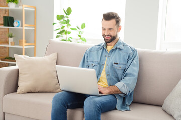 Poster - Photo of cheerful satisfied person sit on couch toothy smile look use laptop working from home indoors