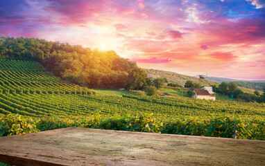 Wall Mural - Ripe wine grapes on vines in Tuscany, Italy. Picturesque wine farm, vineyard. Sunset warm light. High quality photo