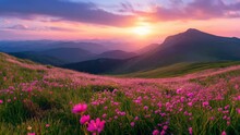 The Magical Pink Flowers Of Rhododendrons At Sunset In The Mountainous Area And The Perfect Beauty Of Nature. Seamless Looping 4k Time-lapse Virtual Video Animation Background  Generated With Al
