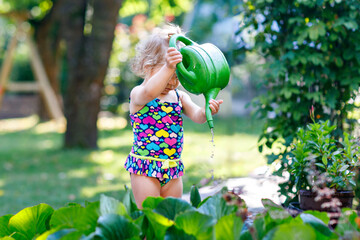 Wall Mural - Cute little baby girl in colorful swimsuit watering plants and blossoming flowers in domestic garden on hot summer day. Adorable toddler child having fun with playing with water and ca