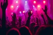 © Riccardo - people with hands up at the music festival concert with purple and red light