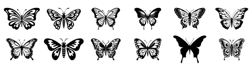 Wall Mural - Butterfly vector illustration, black silhouette on white background. Moth with ornament on wings scrapbook graphic element