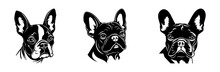 French Bulldog Dog Breed Head Vector Illustration. Pet Portrait In Style Of Hand Drawn Black Doodle On White Background