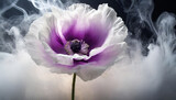 Fototapeta  - Abstrakcyjny kwiat maku w dymie, biel i fiolet