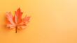 maple leaves background,,
Colorful background of autumn maple tree leaves background with wooden calendar november month

