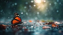 Butterfly On Wet Floor With Raindrops And Bokeh Background, Ai Generative