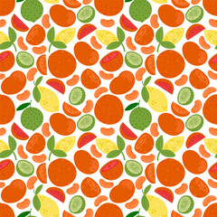 Citrus seamless pattern on a white background. Hand drawn illustration, print design.