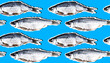 Seamless pattern with fish in retro collage style. Fish with a colored halftone effect on a blue background. Vector background for seafood restaurant, menu, store.