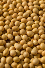 Sticker - Dried Organic Soy Beans