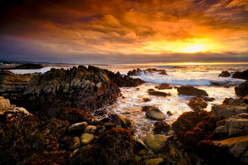 Wall Mural - Sunset on the Coastline of Pacific Grove, California. 