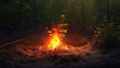 Campfire Illuminating Dense Forest
