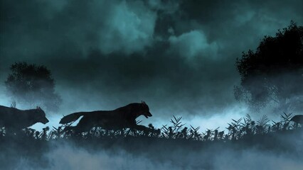 Wall Mural - wolves running in a lightning storm 4k loop features silhouettes of wolves running through a field o